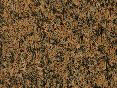 xm006482.gif