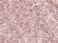 xm006476.gif