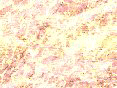 xm006472.gif