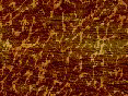 xm006471.gif