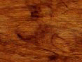 xm006470.gif