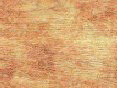 xm006469.gif