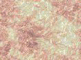 xm006467.gif