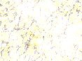 xm006466.gif