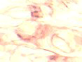 xm006464.gif