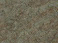 xm006460.gif