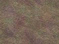 xm006457.gif
