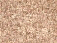 xm006454.gif