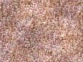 xm006452.gif