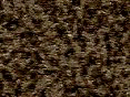 xm006450.gif