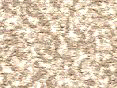 xm006449.gif
