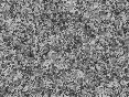 xm006448.gif