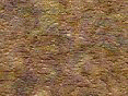 xm006446.gif