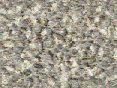 xm006444.gif