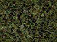 xm006443.gif