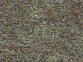 xm006442.gif