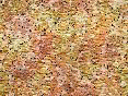 xm006441.gif