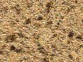 xm006437.gif