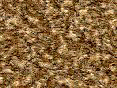 xm006436.gif