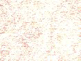 xm006435.gif
