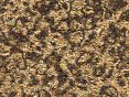 xm006434.gif