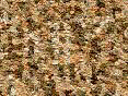 xm006433.gif