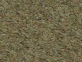 xm006432.gif