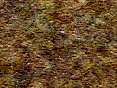 xm006430.gif