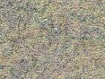 xm006429.gif