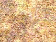 xm006428.gif
