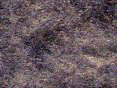 xm006426.gif