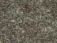 xm006425.gif