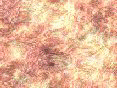 xm006422.gif