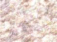 xm006418.gif