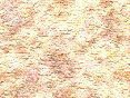 xm006417.gif