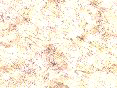xm006415.gif
