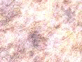 xm006411.gif