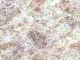 xm006409.gif