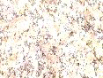 xm006407.gif