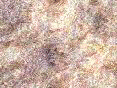 xm006406.gif