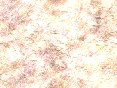 xm006404.gif