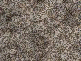 xm006400.gif