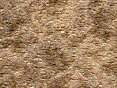 xm006396.gif