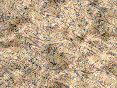 xm006395.gif