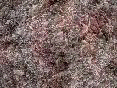 xm006392.gif