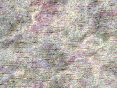 xm006391.gif