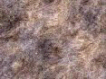 xm006389.gif