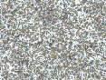 xm006388.gif