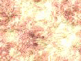 xm006387.gif