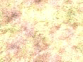 xm006386.gif